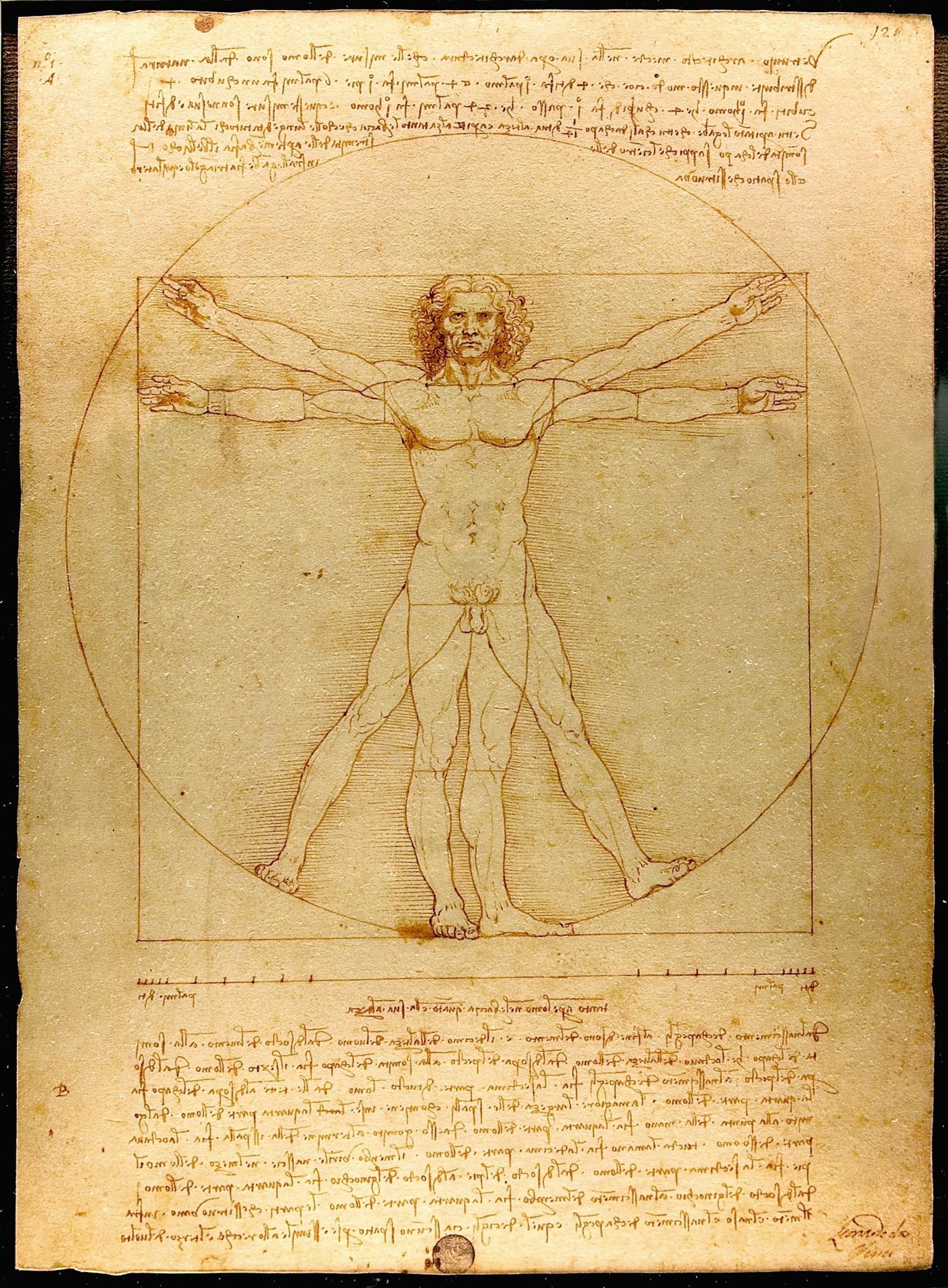 Leonardo Da Vinci - Vitruve Luc Viatour 